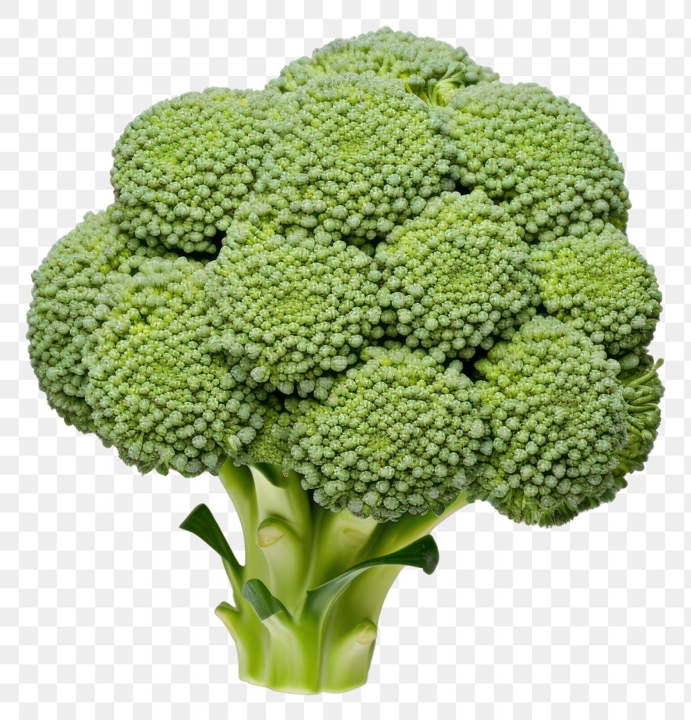 PNG Vegetable broccoli plant food. 