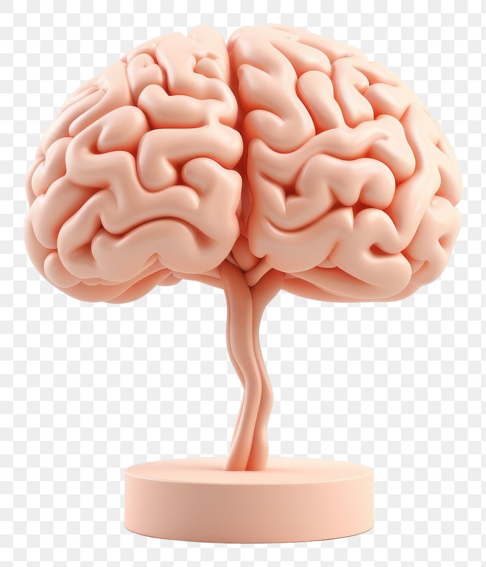PNG Brain white background medical dessert. AI generated Image by rawpixel.