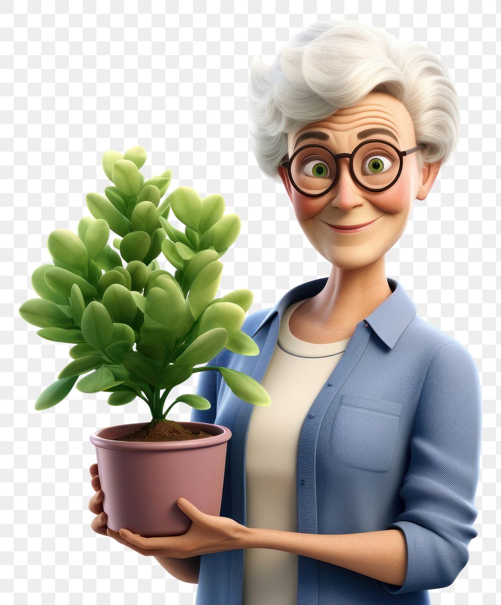 PNG Plant houseplant gardening portrait. AI generated Image by rawpixel.