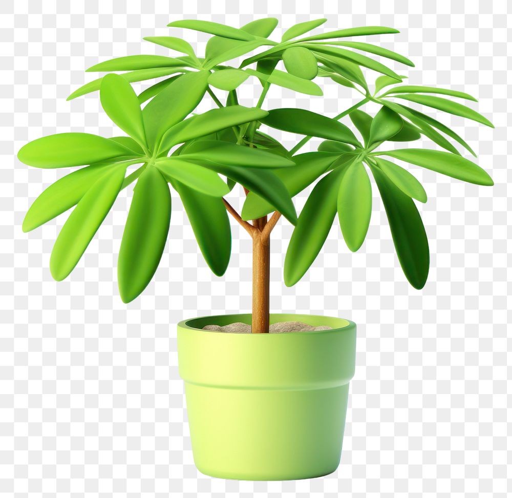 PNG Schefflera plant leaf white background. AI generated Image by rawpixel.