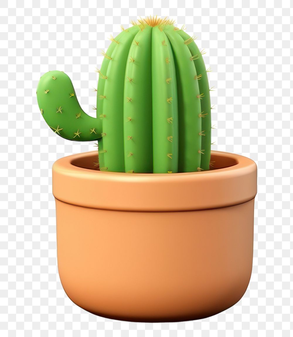 PNG Cactus plant white background houseplant. AI generated Image by rawpixel.