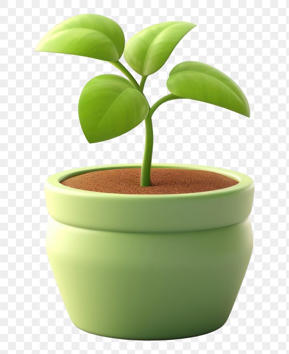 PNG Plant seedling leaf pot. AI generated Image by rawpixel.