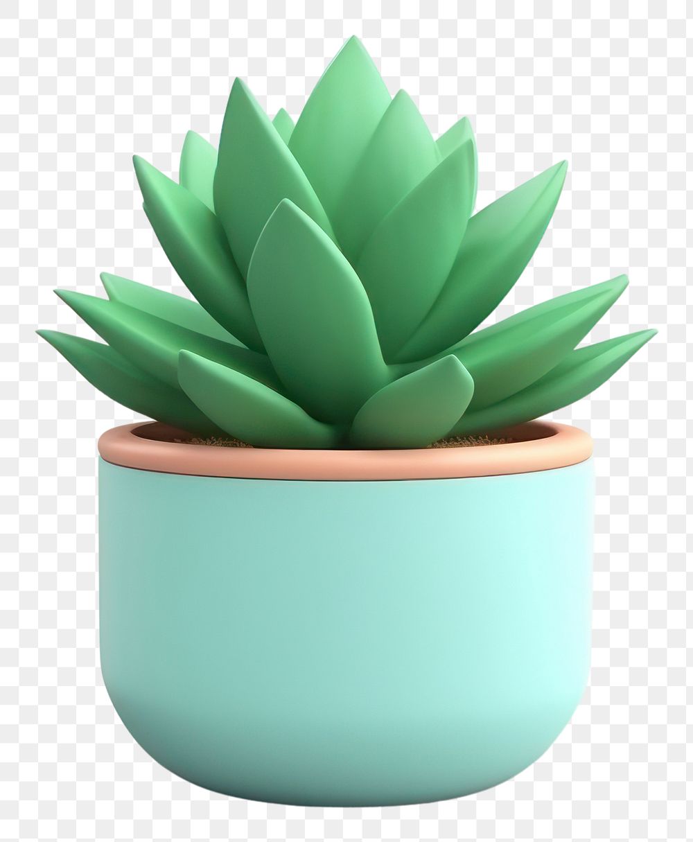 PNG Plant aloe leaf vase. AI generated Image by rawpixel.