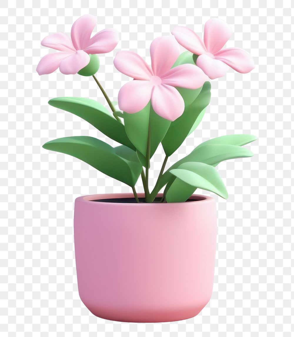 PNG Flower plant blossom petal. AI generated Image by rawpixel.