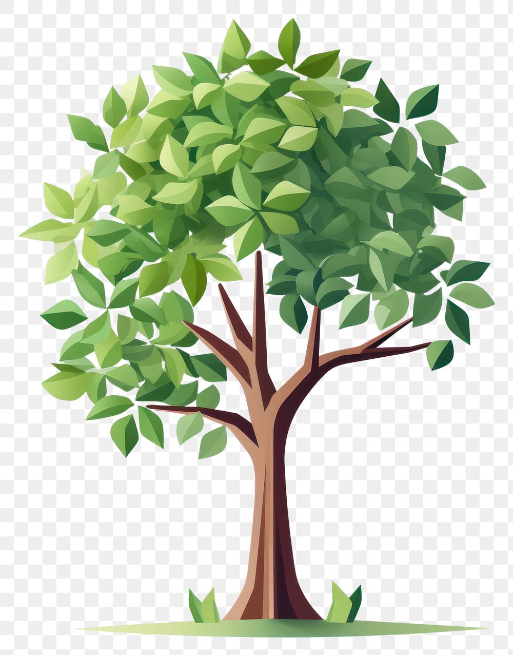 PNG Plant tree leaf outdoors. AI generated Image by rawpixel.