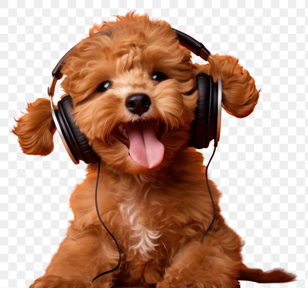 PNG Puppy headphones mammal animal. AI generated Image by rawpixel.