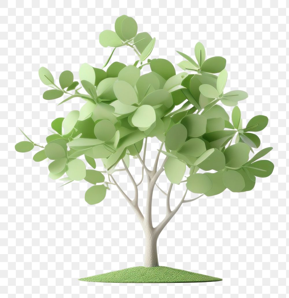 PNG Tree plant leaf bonsai. AI generated Image by rawpixel.