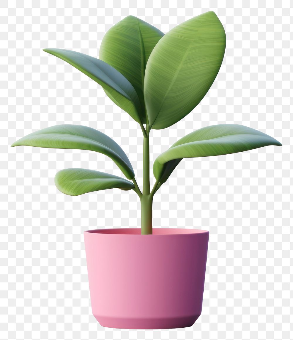 PNG Plant houseplant leaf freshness. 