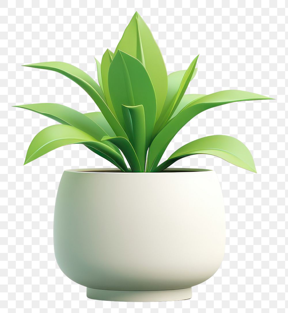 PNG Plant houseplant leaf vase. 