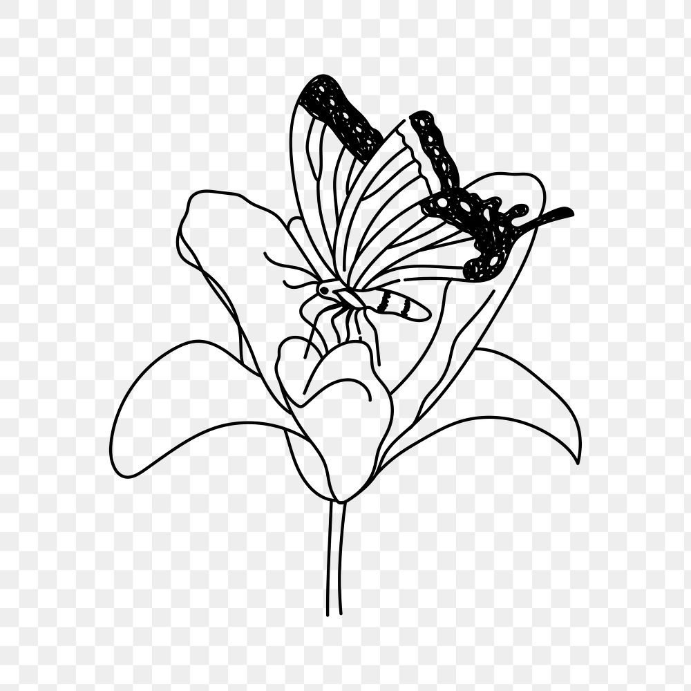 PNG butterfly & flower doodle illustration, transparent background