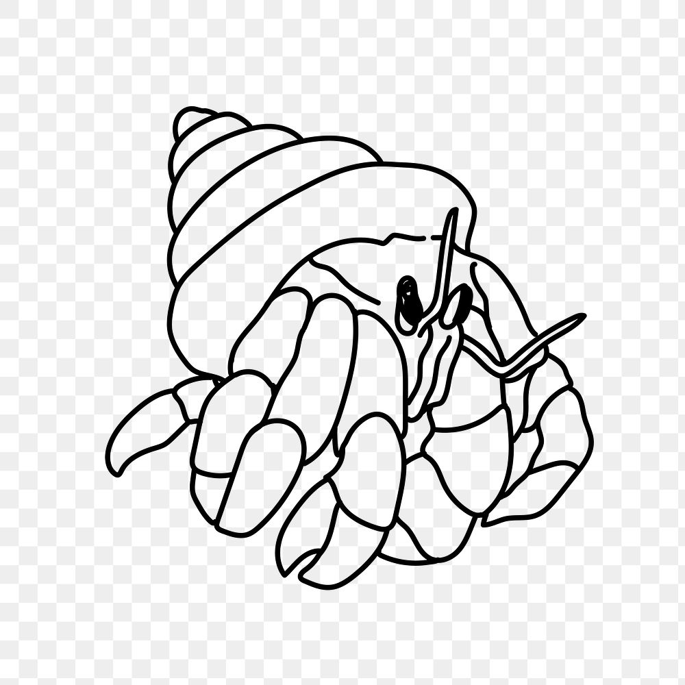 PNG hermit crab doodle illustration, transparent background