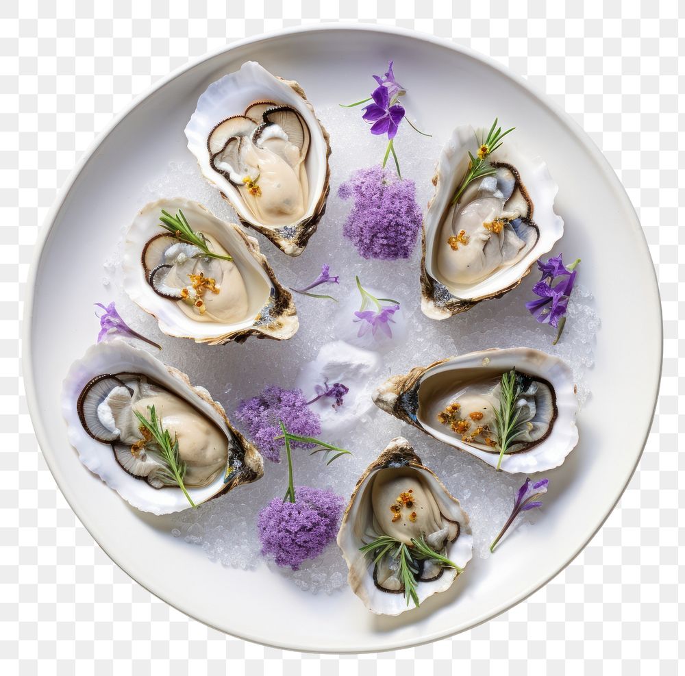 PNG Oyster plate seafood invertebrate. AI generated Image by rawpixel.