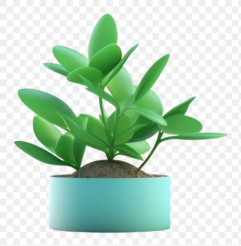 PNG Plant leaf  houseplant. 