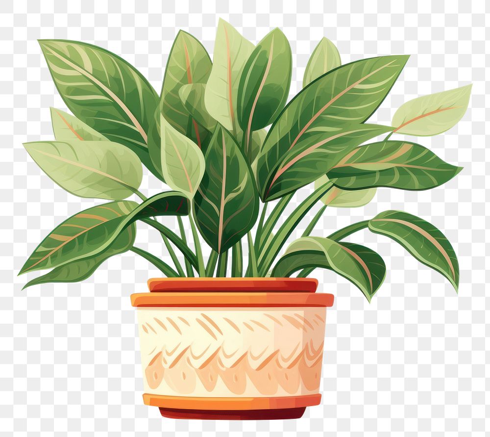 PNG Plant leaf houseplant flowerpot. AI generated Image by rawpixel.