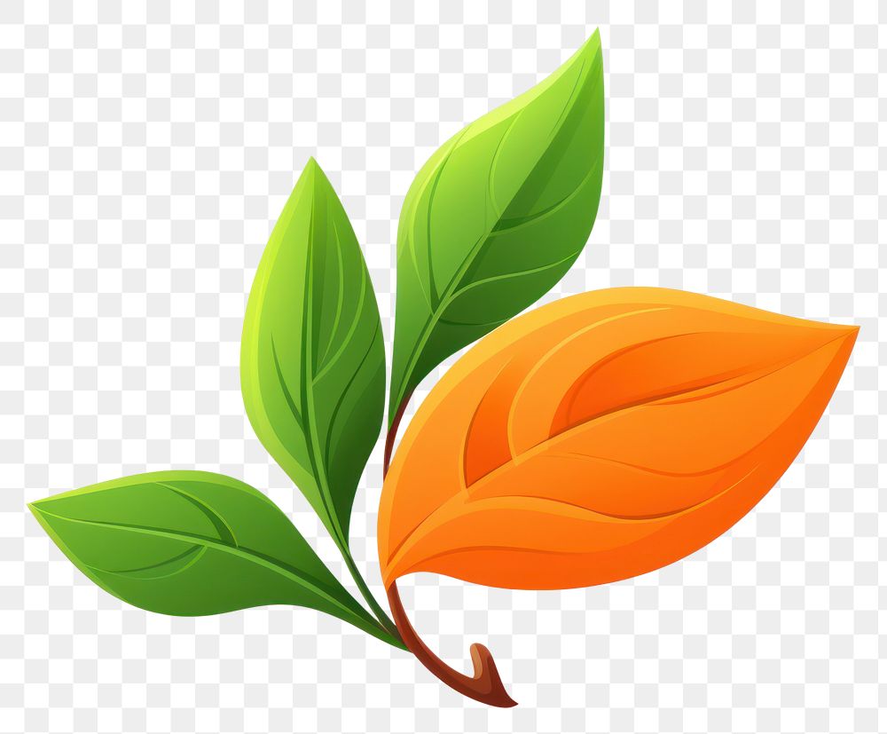 PNG Leaf green plant white background. AI generated Image by rawpixel.