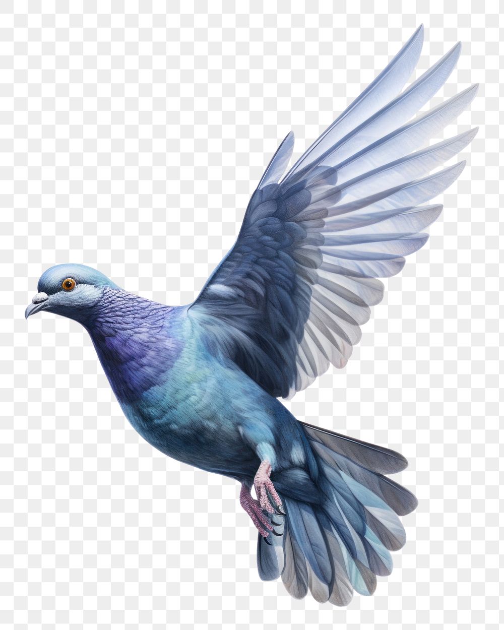 PNG Bird drawing animal flying. AI generated Image by rawpixel.