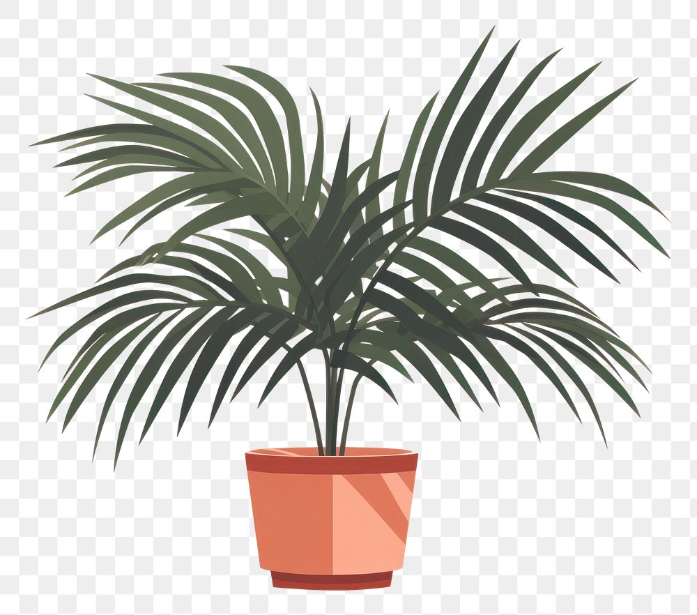 PNG Palm tree plant leaf houseplant. AI generated Image by rawpixel.
