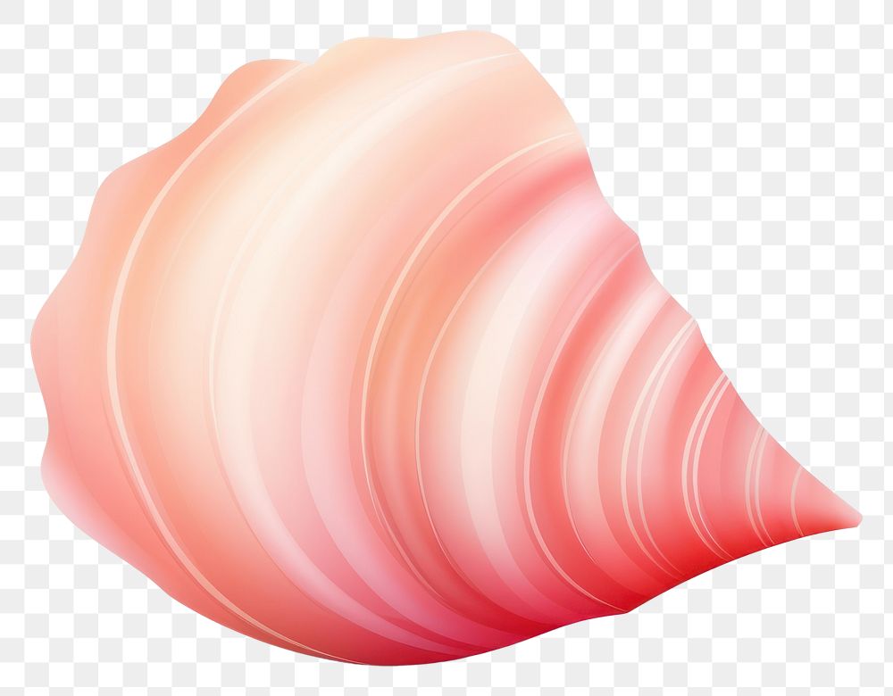 PNG Conch shell conch white background invertebrate. AI generated Image by rawpixel.