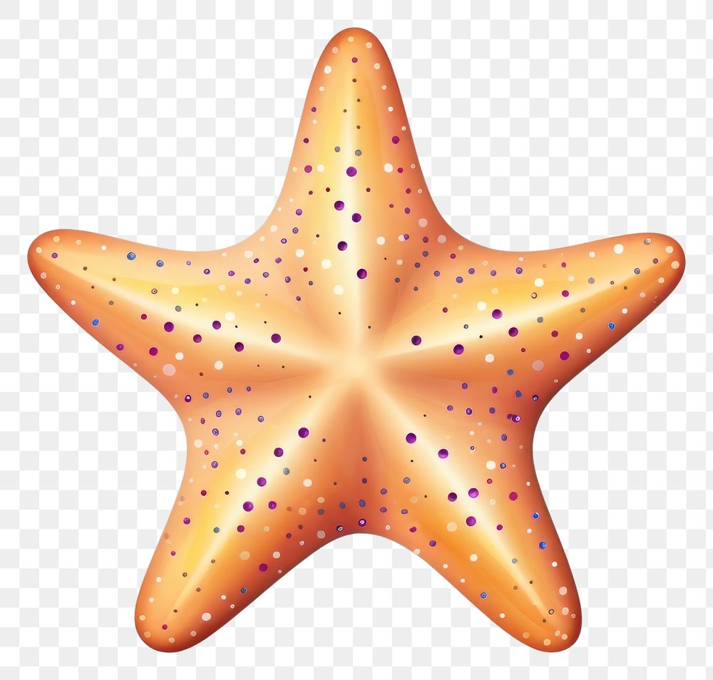 PNG Starfish starfish white background invertebrate. 