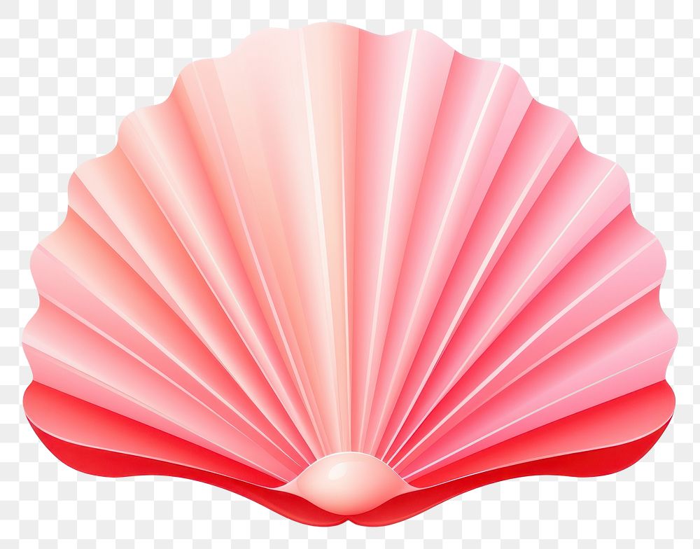 PNG Scallop-seashell white background invertebrate clothing. 