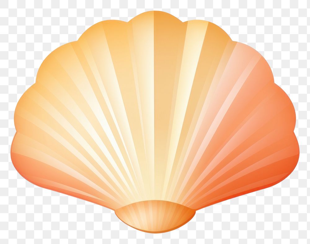 PNG Scallop-seashell clam white background invertebrate. AI generated Image by rawpixel.