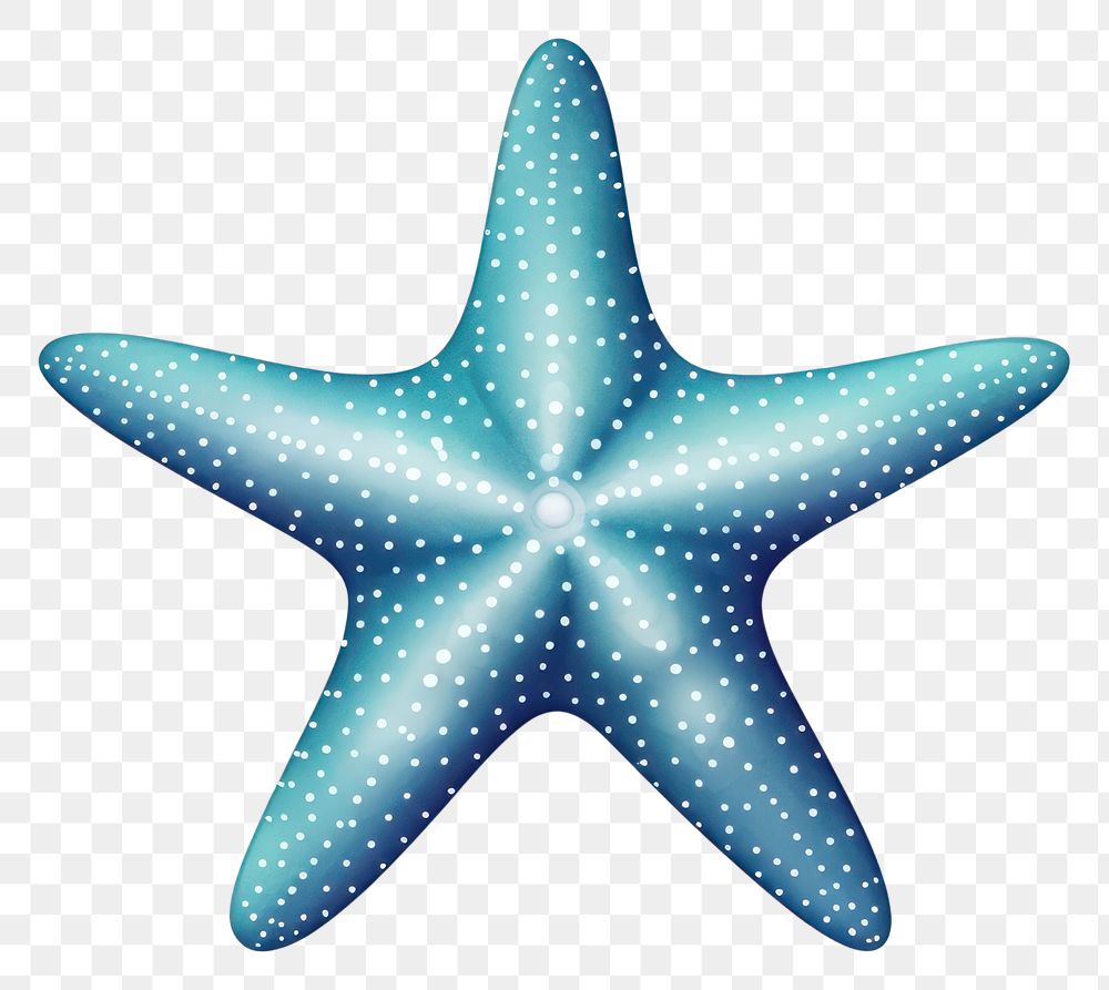 PNG Starfish starfish white background invertebrate. AI generated Image by rawpixel.