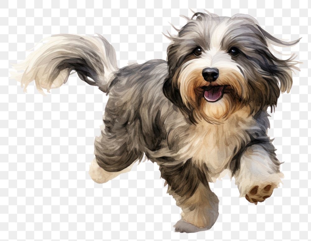 PNG Running terrier mammal animal. AI generated Image by rawpixel.