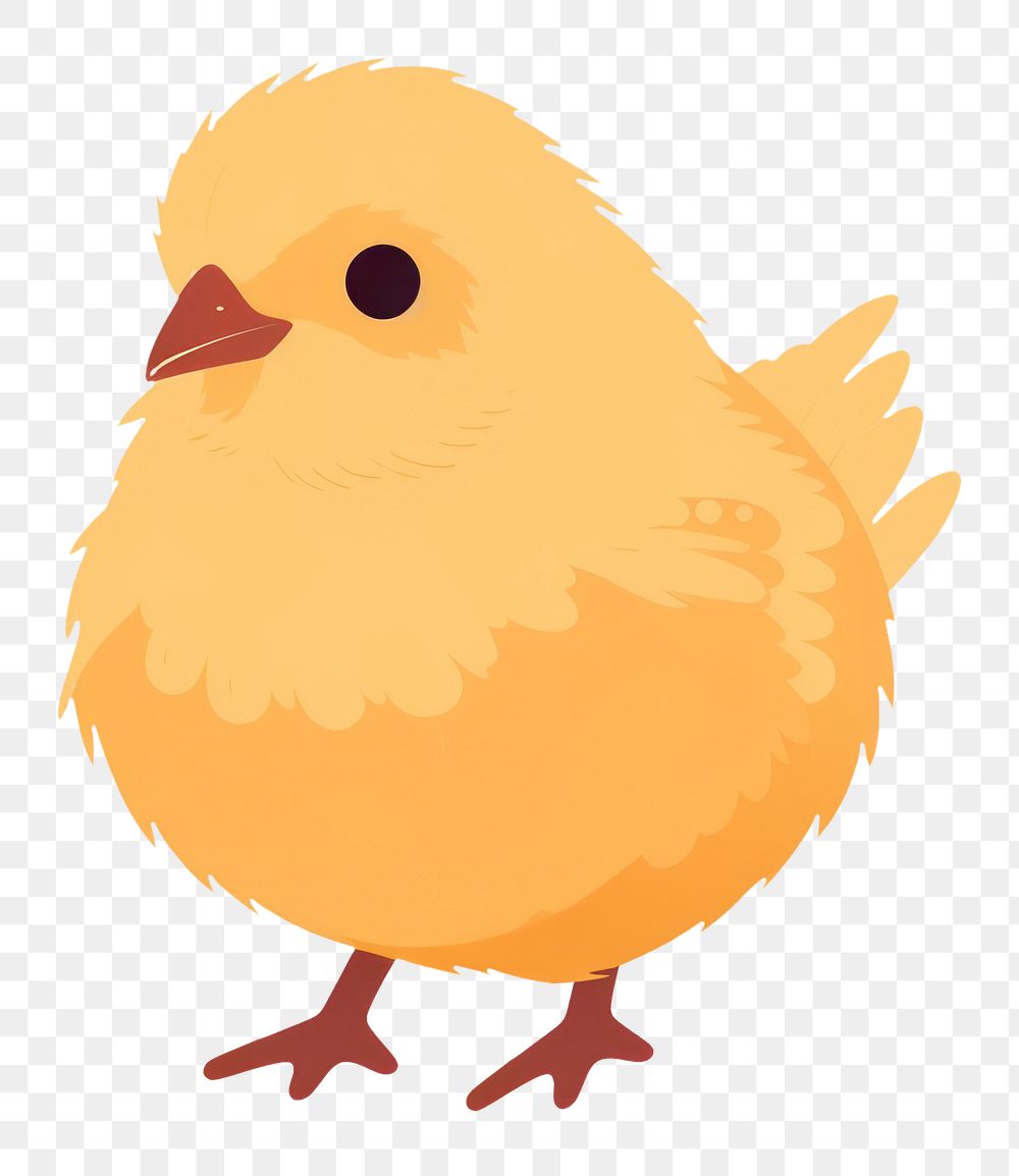 PNG Chick animal canary bird. 