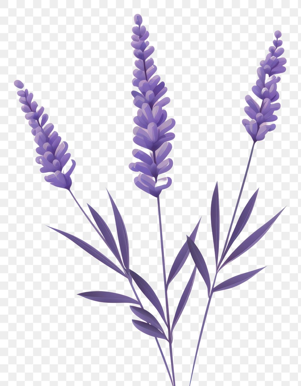 PNG  A lavender flower plant inflorescence. AI generated Image by rawpixel.