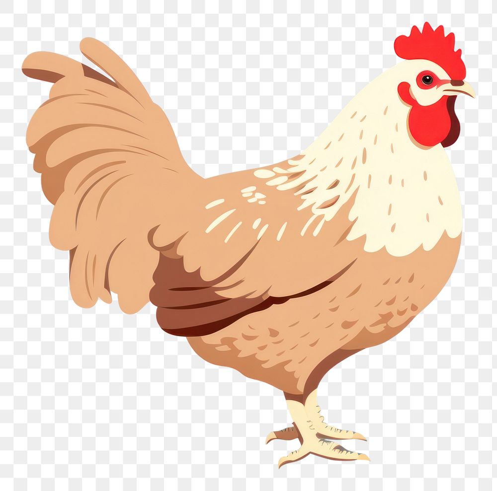 PNG Brown chicken hen poultry animal bird. AI generated Image by rawpixel.