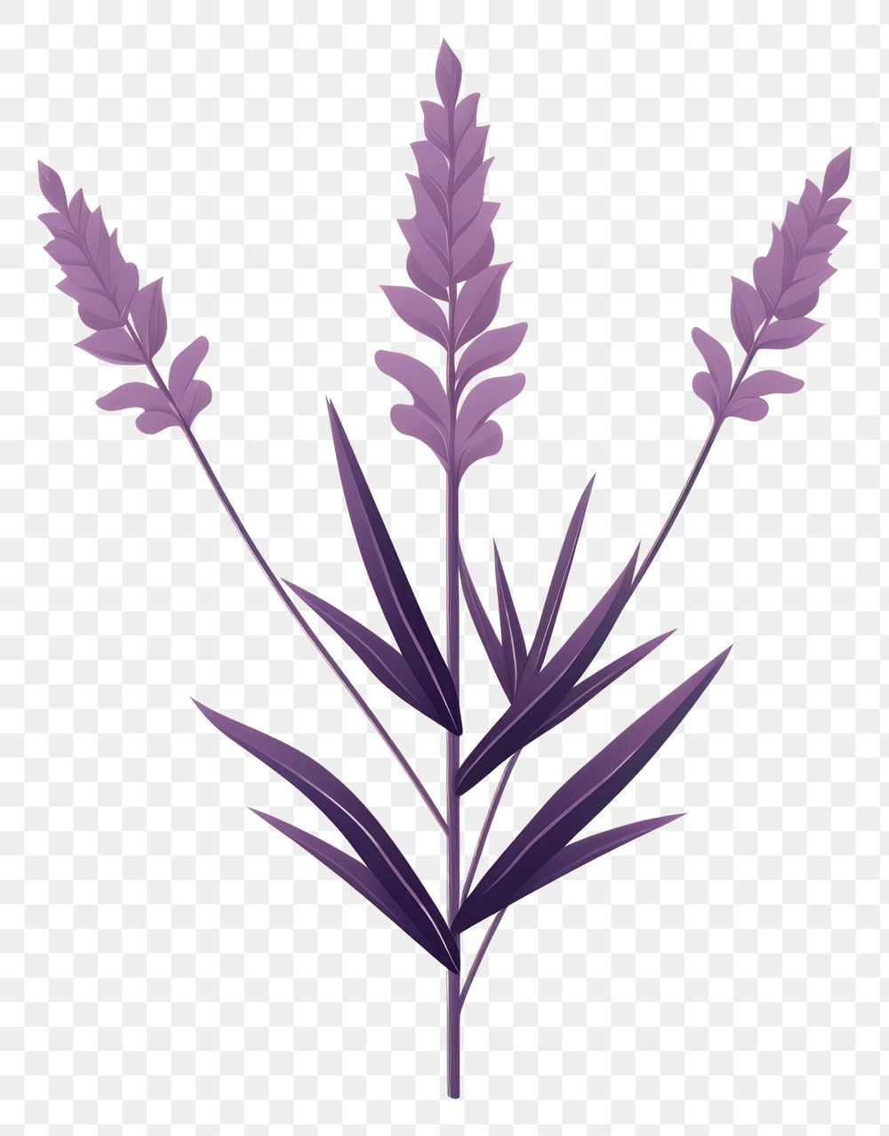 PNG  Lavender flower plant triticale. AI generated Image by rawpixel.