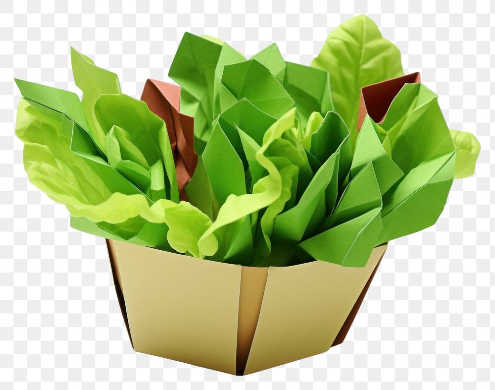 PNG Salad paper origami plant. AI generated Image by rawpixel.