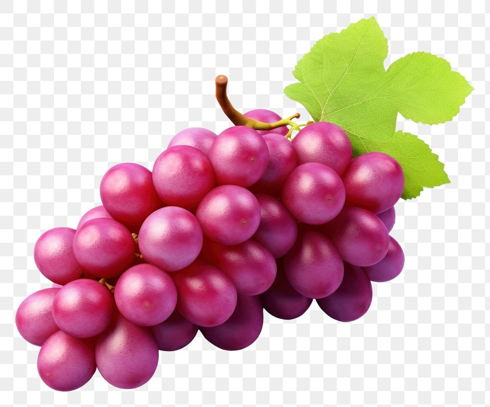PNG Grapes food fruit plant. AI generated Image by rawpixel.