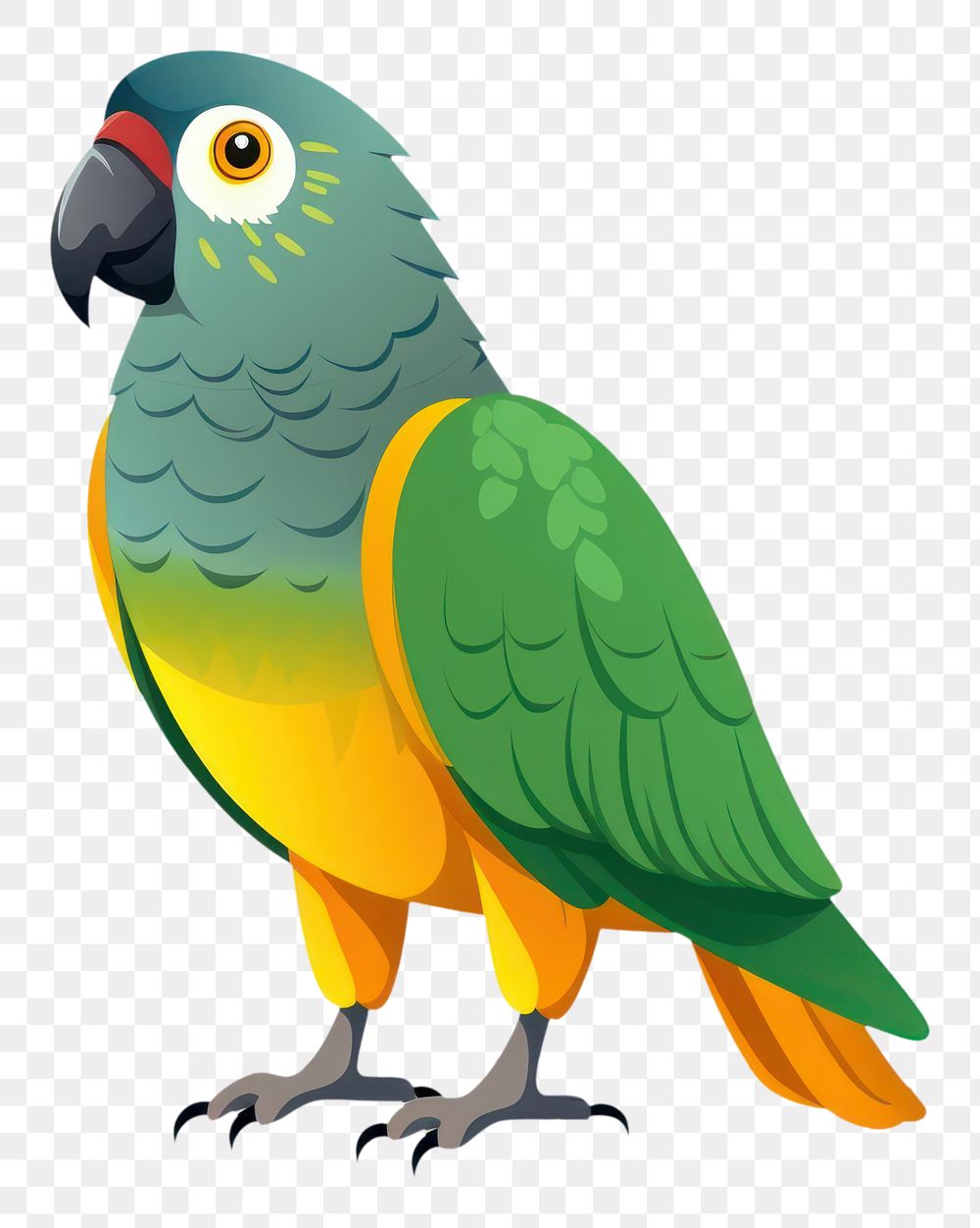 PNG Senegal parrot animal bird  