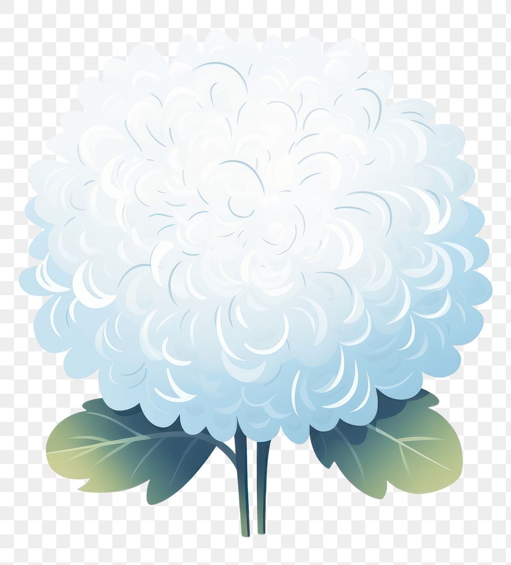 PNG Snowball flower outdoors nature plant. AI generated Image by rawpixel.