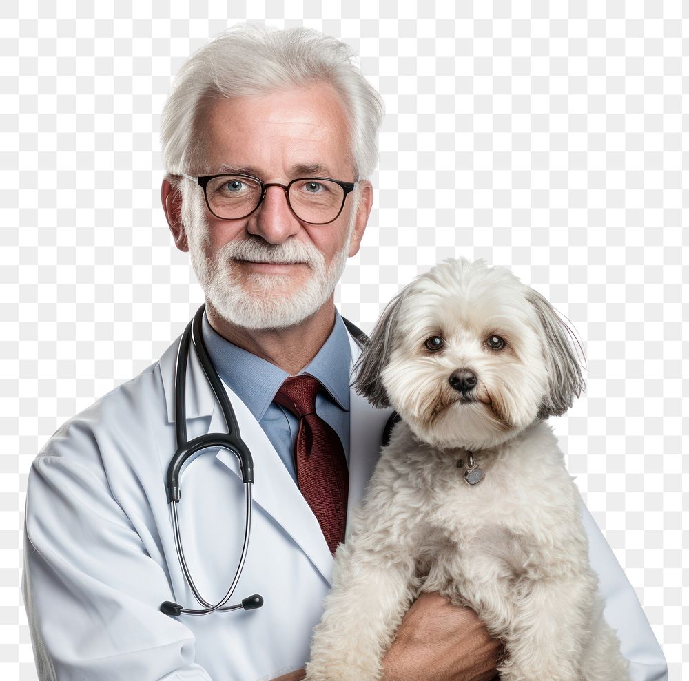 PNG Male veterinarian glasses doctor adult. AI generated Image by rawpixel.
