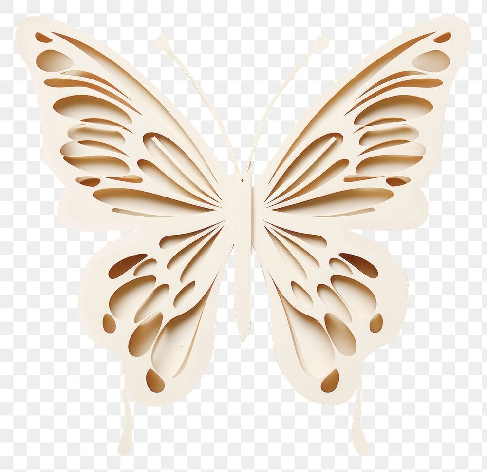 PNG Butterfly white white background accessories. AI generated Image by rawpixel.