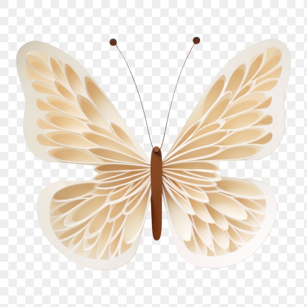 PNG Butterfly art white background celebration. AI generated Image by rawpixel.