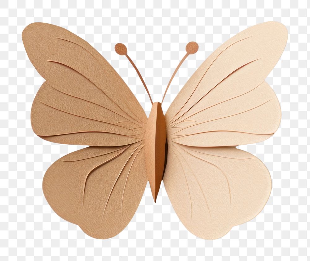 PNG Butterfly art white background accessories. 