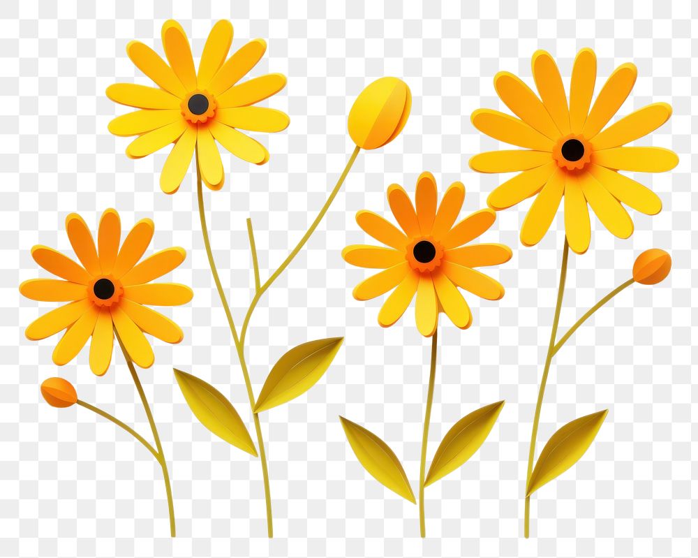 PNG Yellow daisies flower petal plant. AI generated Image by rawpixel.