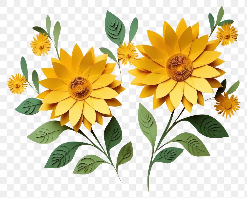 PNG Sunflowers plant petal herbs. AI generated Image by rawpixel.