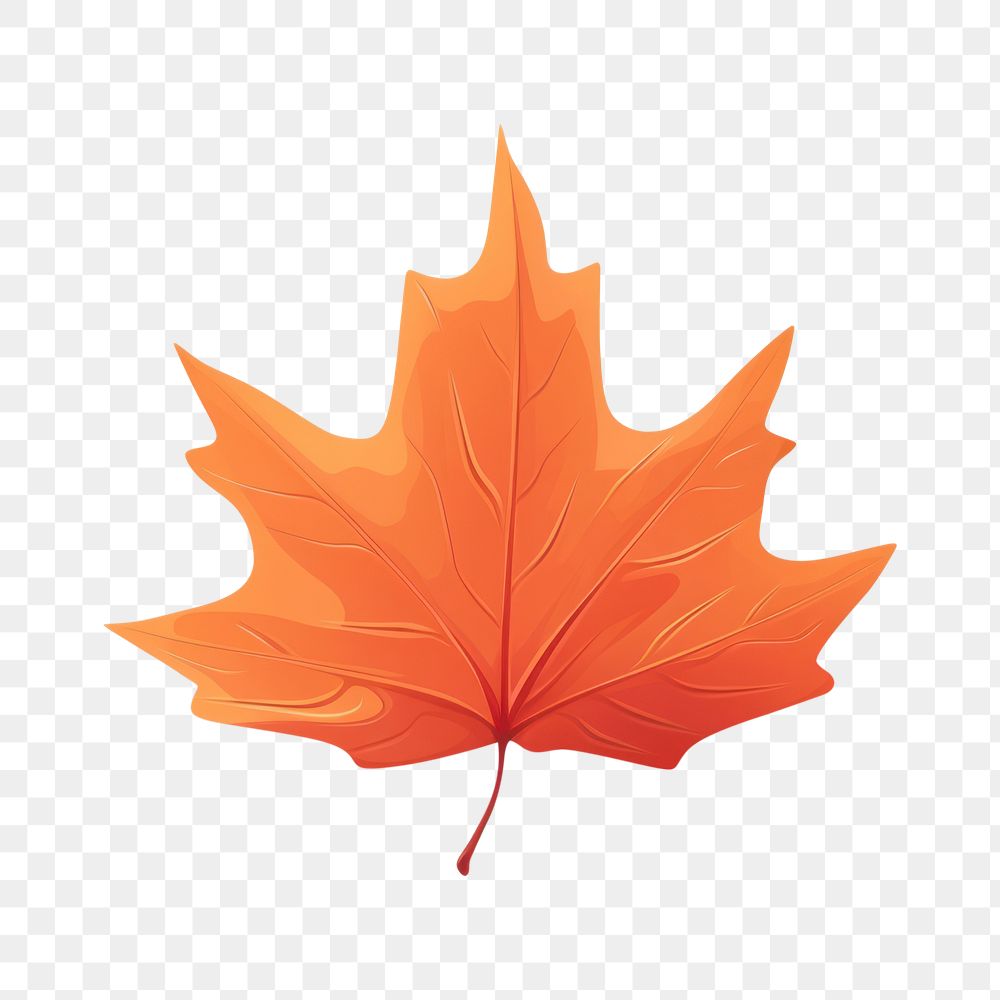 PNG Autumn leave plant leaf tree. AI generated Image by rawpixel.