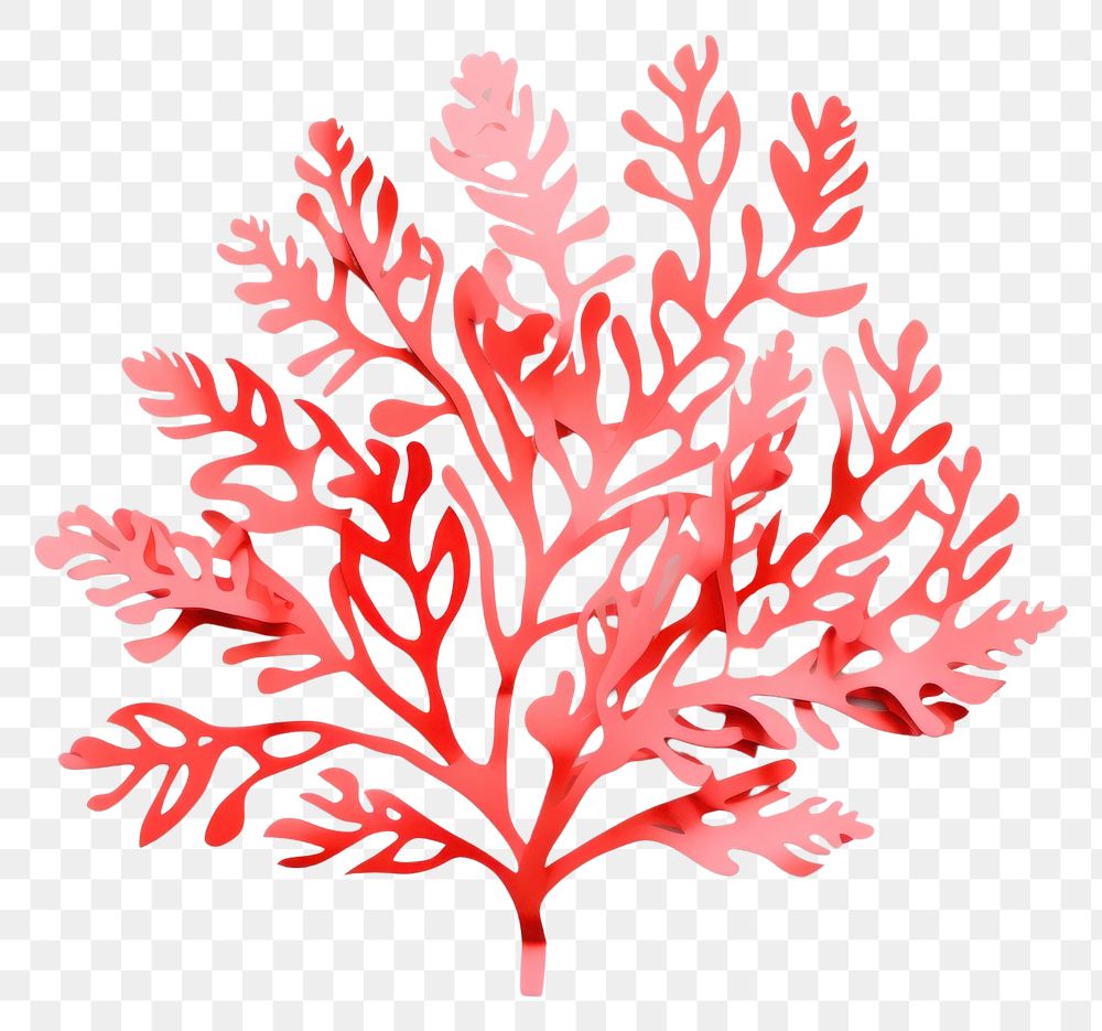 PNG Coral nature plant leaf. AI generated Image by rawpixel.