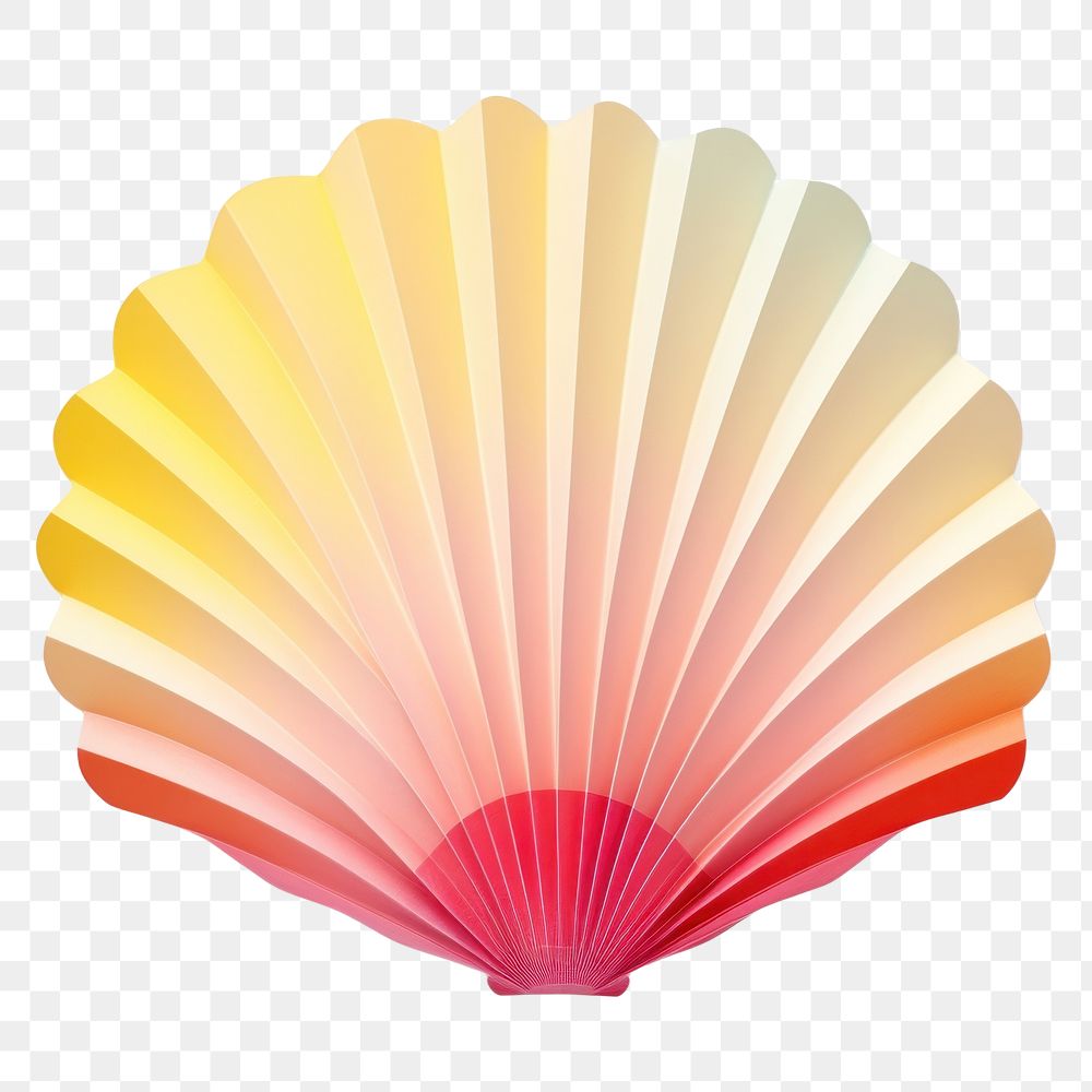 PNG Shell white background invertebrate creativity. AI generated Image by rawpixel.