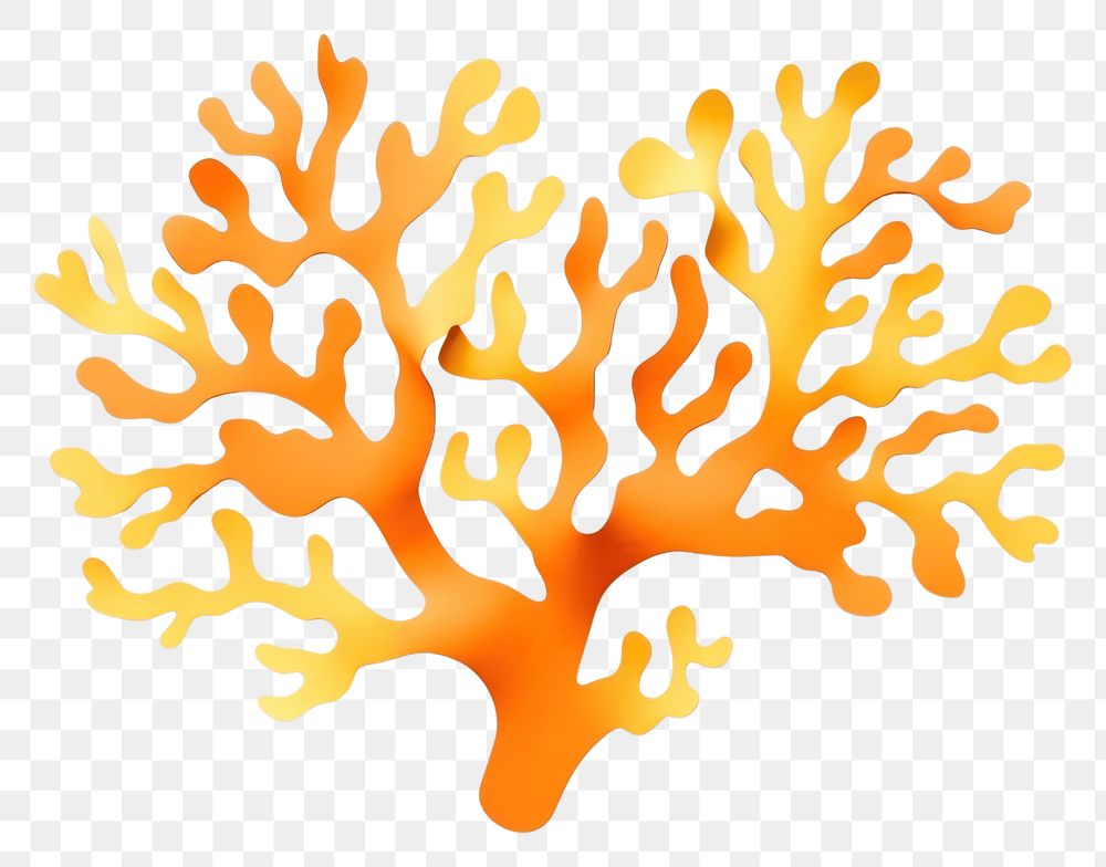 PNG Yellow coral white background creativity undersea. AI generated Image by rawpixel.
