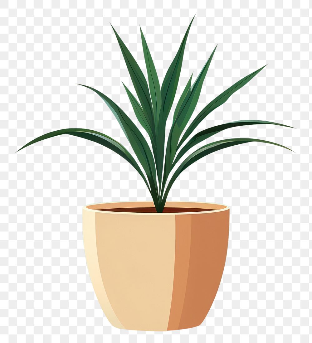 PNG Indoor plant houseplant flowerpot pineapple. AI generated Image by rawpixel.