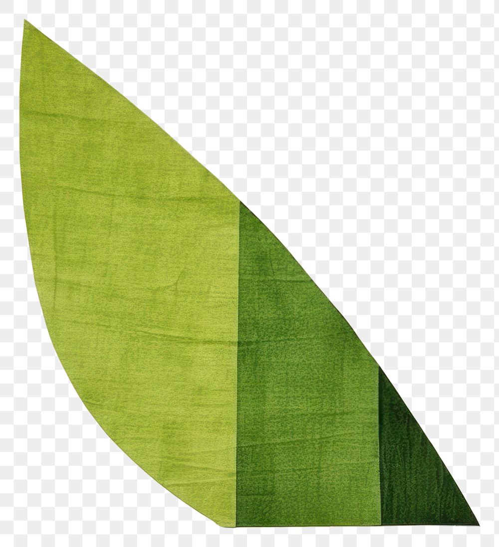 PNG Plant leaf blackboard textile. 