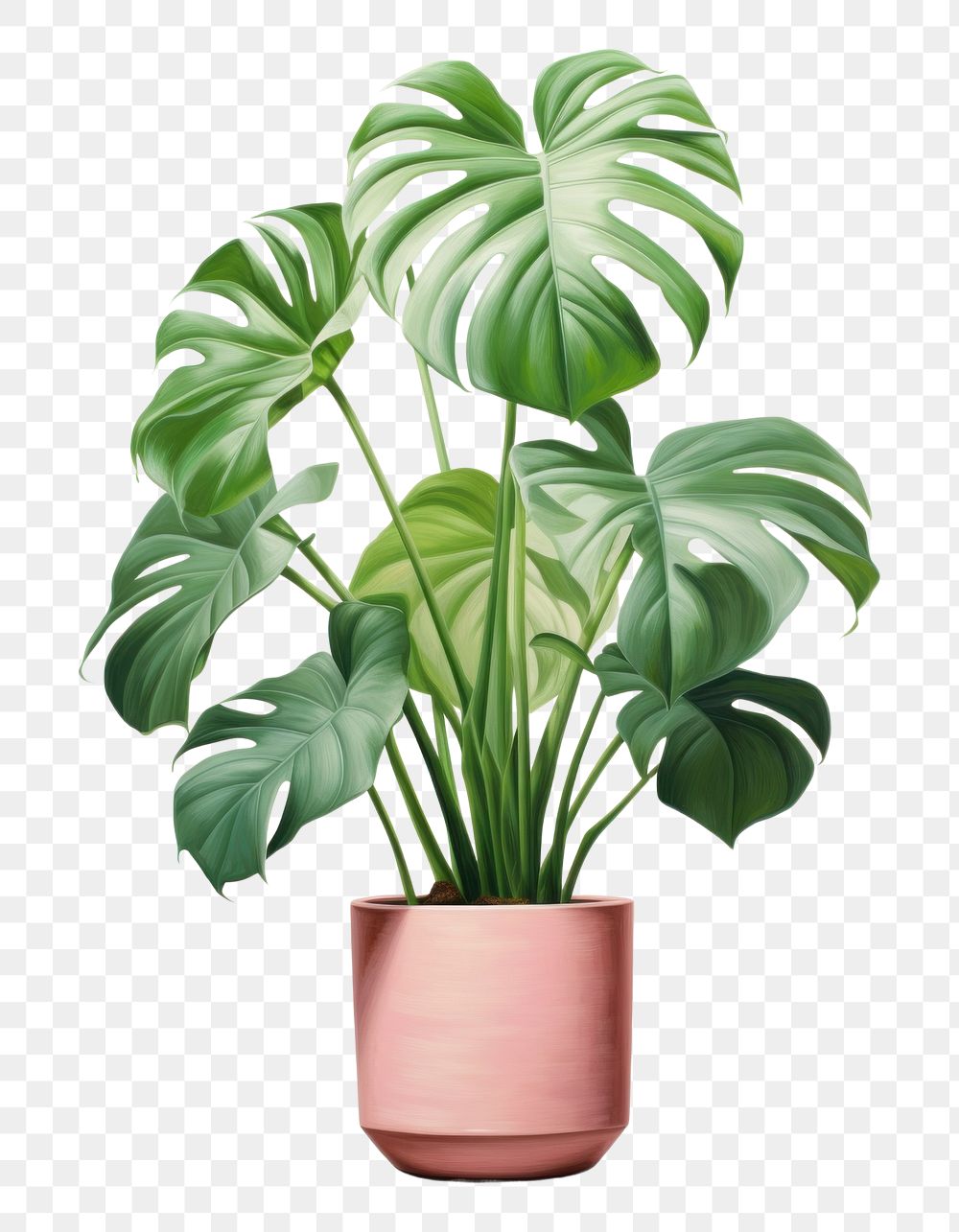 PNG Plant vase leaf houseplant. AI generated Image by rawpixel.