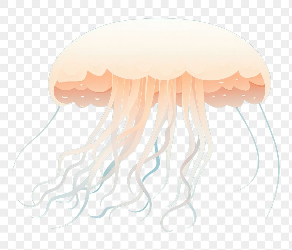 PNG Jellyfish invertebrate transparent cephalopod. AI generated Image by rawpixel.