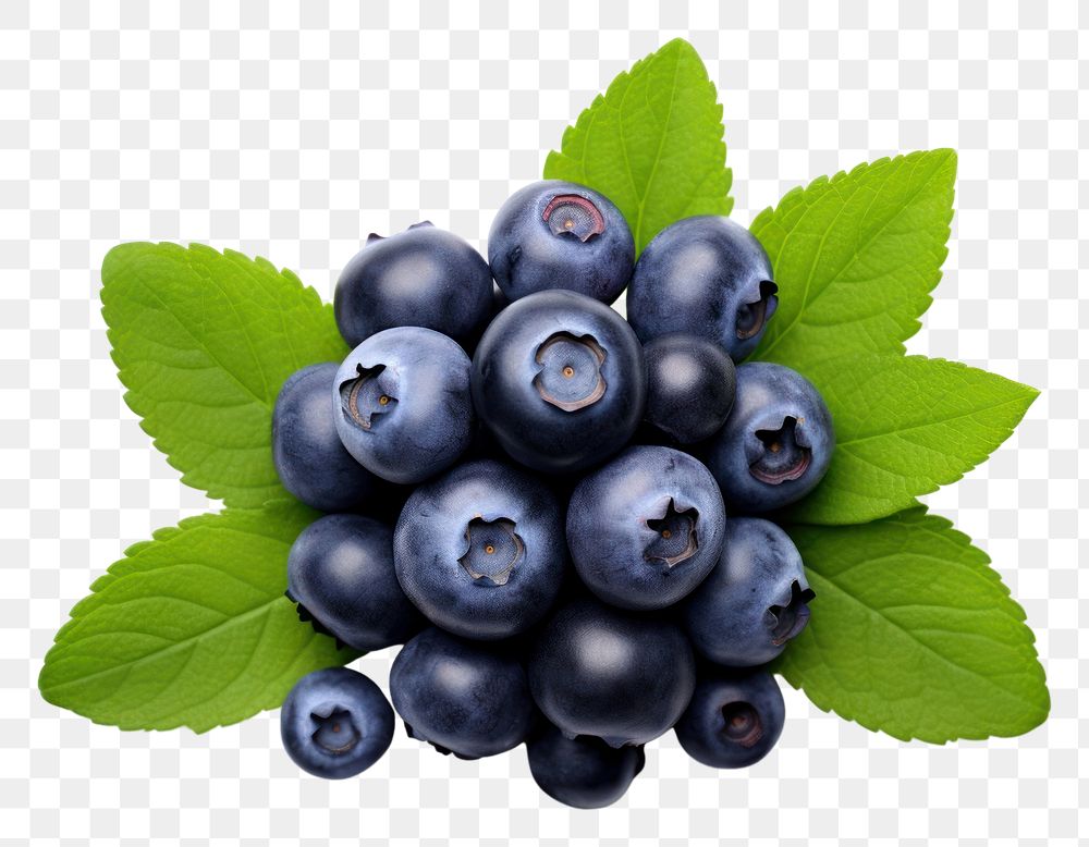 PNG Blueberry fruit plant food. AI generated Image by rawpixel.